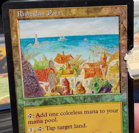 A Beginner's Guide to Card Grading | TCGplayer A Beginner's Guide to Card Grading | TCGplayer