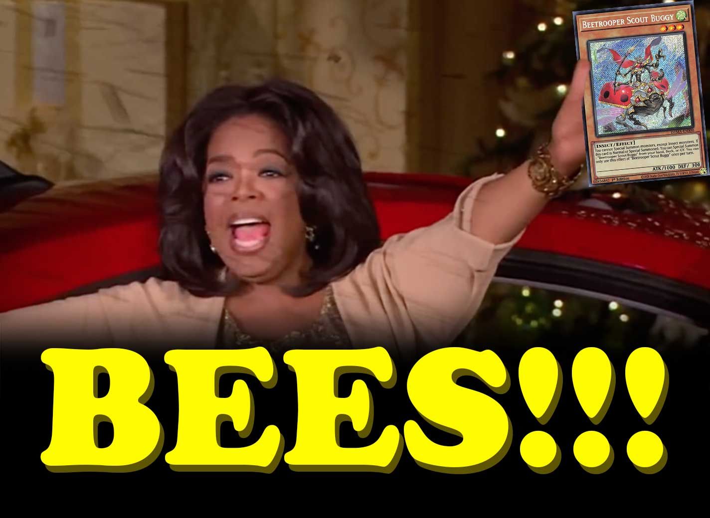 oprah meme bees