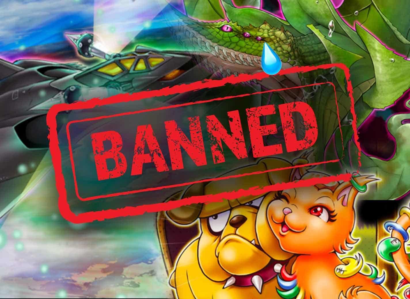 Card By Card With Yu-Gi-Oh's New May Banlist | TCGplayer Infinite