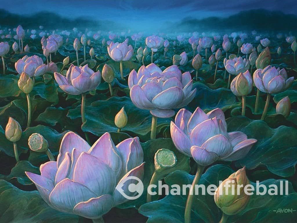 A Broken Combo Deck is Back in Modern MTG ChannelFireball