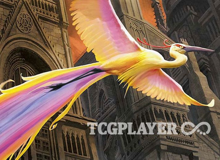 Why You Should Be Watching The Birds of Paradise Tournament | TCGplayer