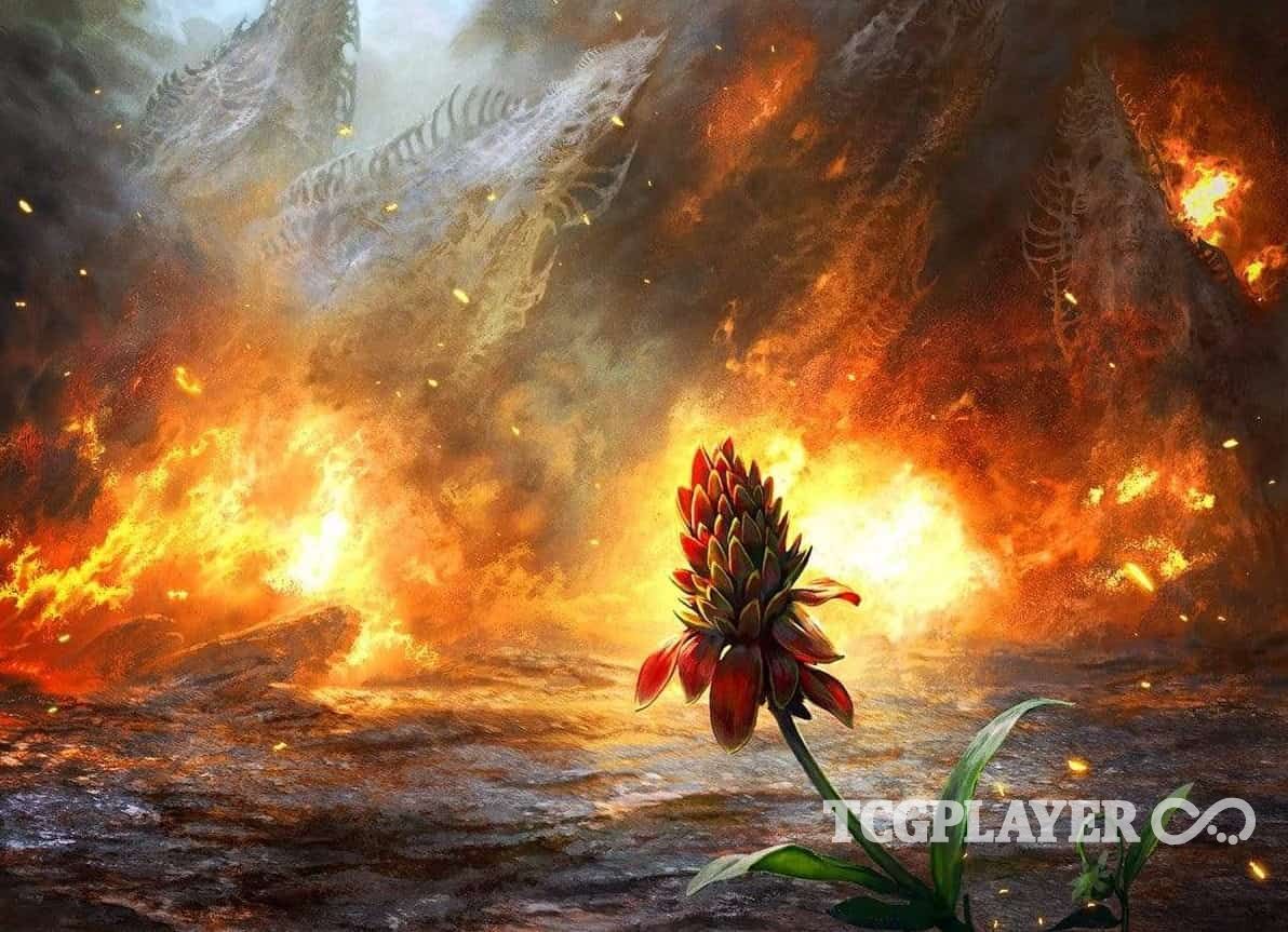 It's Time to Play Land Destruction in Standard TCGplayer Infinite