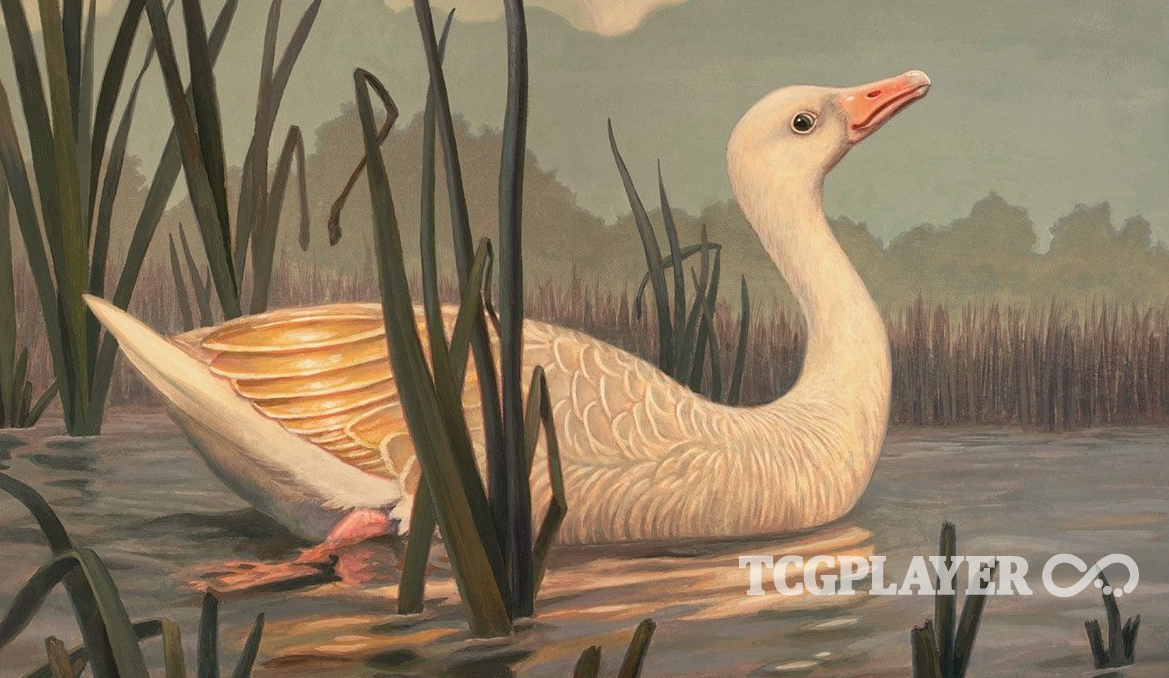 The Biggest MTG Movers and Shakers of the Week 08/23/2023 TCGplayer