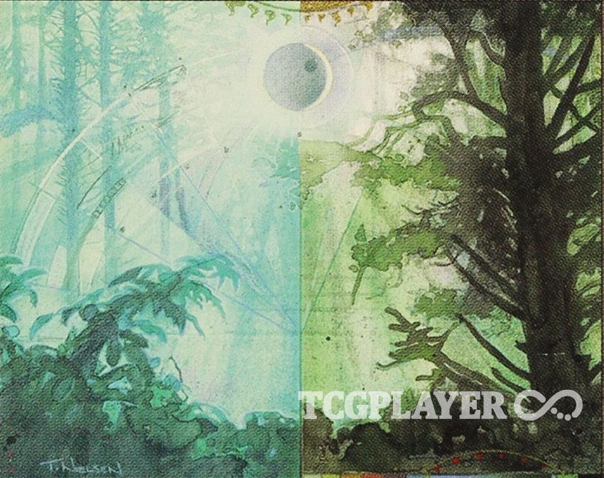 What are Guru Lands? TCGplayer Infinite