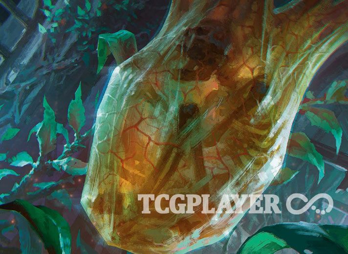 What Are the Mechanics and Themes of Duskmourn MTG Limited? TCGplayer