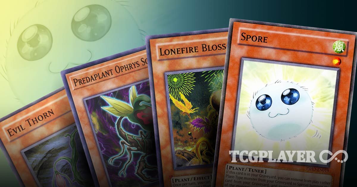 The BEST Plant Combo Deck In YuGiOh Today TCGplayer Infinite