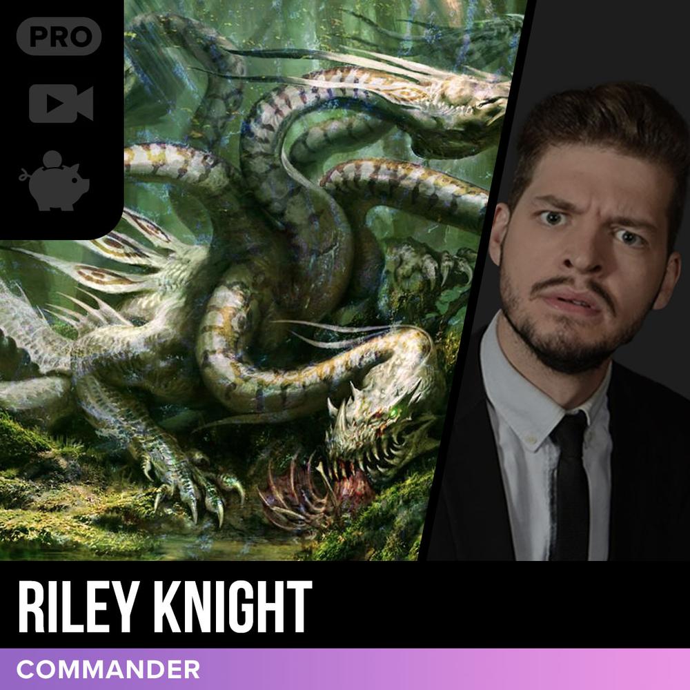 Hydra Tribal with Gargos, Vicious Watcher - MTG Commander Showcase |  TCGplayer