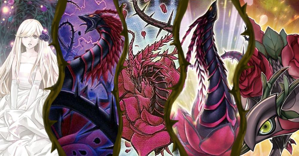 Spotlight: Akiza's New Plants In Sisters of the Rose | TCGplayer